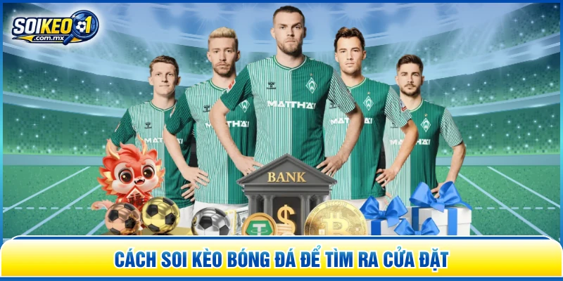 Cách soi kèo bóng đá để tìm ra cửa đặt 