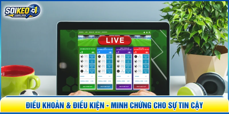 Điều khoản & điều kiện - Minh chứng cho sự tin cậy