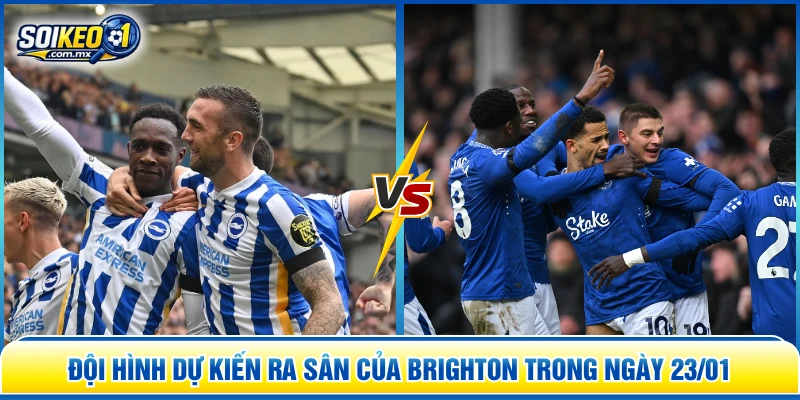 Đội hình dự kiến ra sân của Brighton trong ngày 23/01