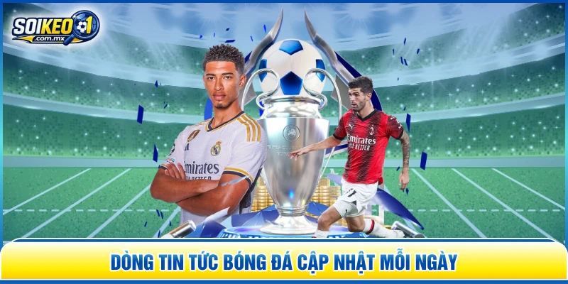 Dòng tin tức bóng đá cập nhật mỗi ngày