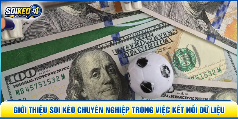 Giới thiệu SOI KÈO chuyên nghiệp trong việc kết nối dữ liệu