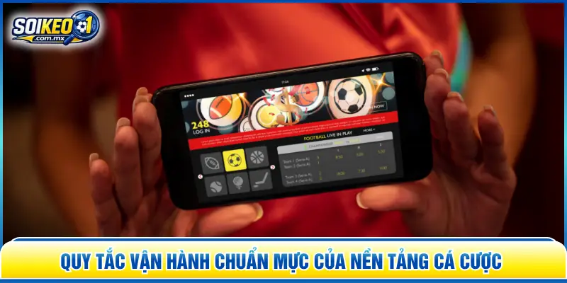 Quy tắc vận hành chuẩn mực của nền tảng cá cược