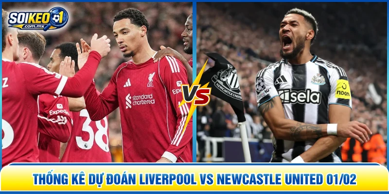 Thống kê dự đoán Liverpool vs Newcastle United 01/02
