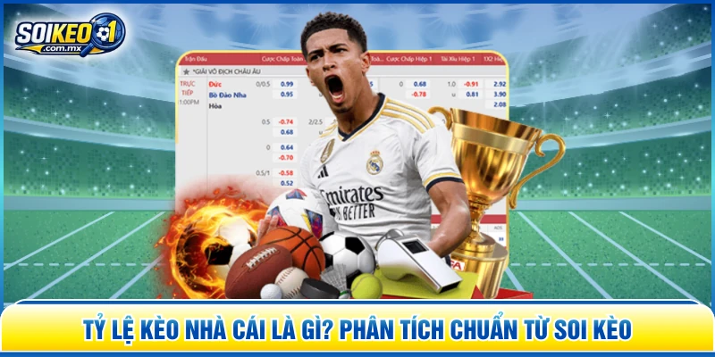 Tỷ lệ kèo nhà cái